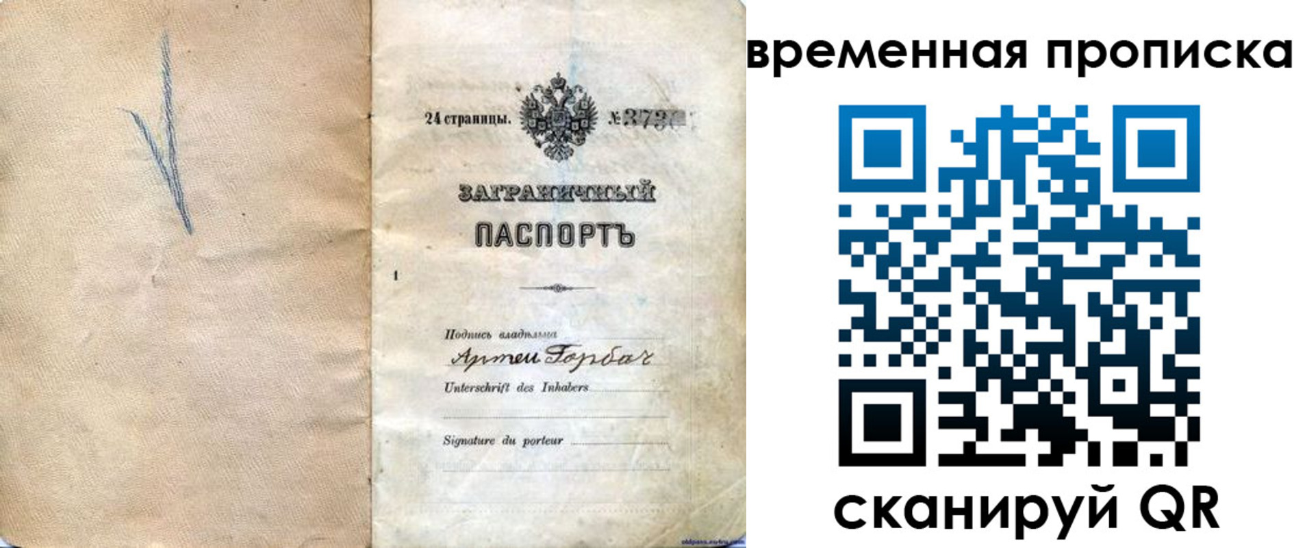 прописка поиск в Курской области