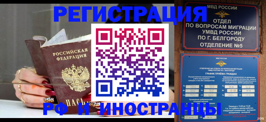 прописка в Курской области